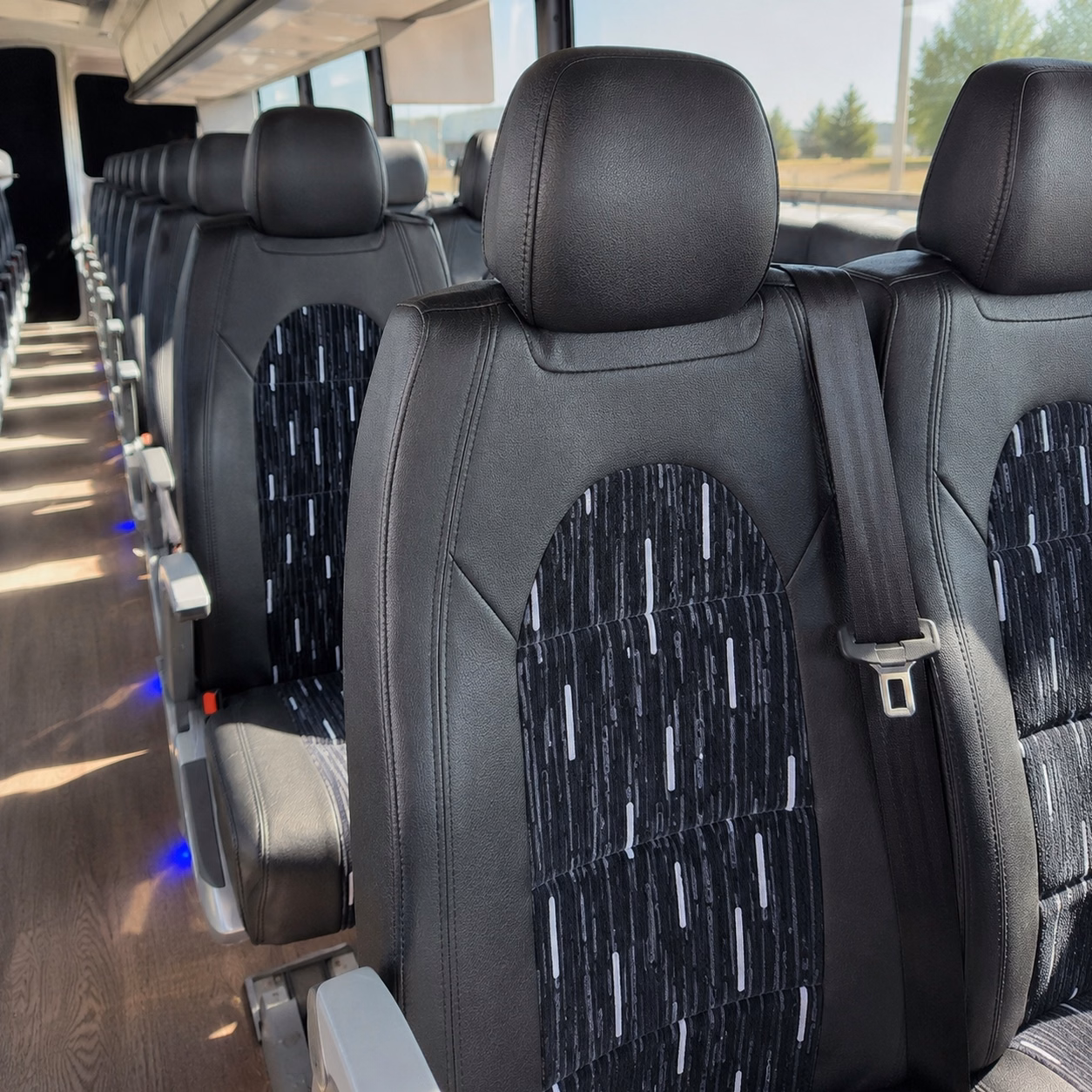 compare bus rental options in plano with one quick online quote