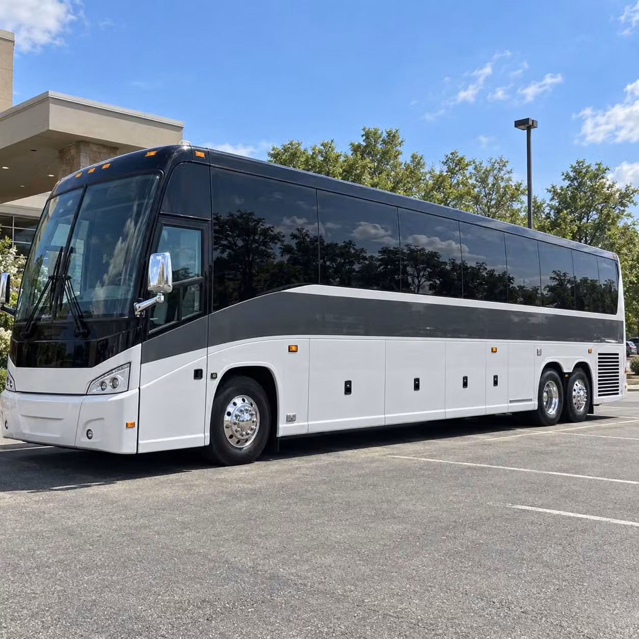 plano school field trip bus rentals that keep students comfortable and on time